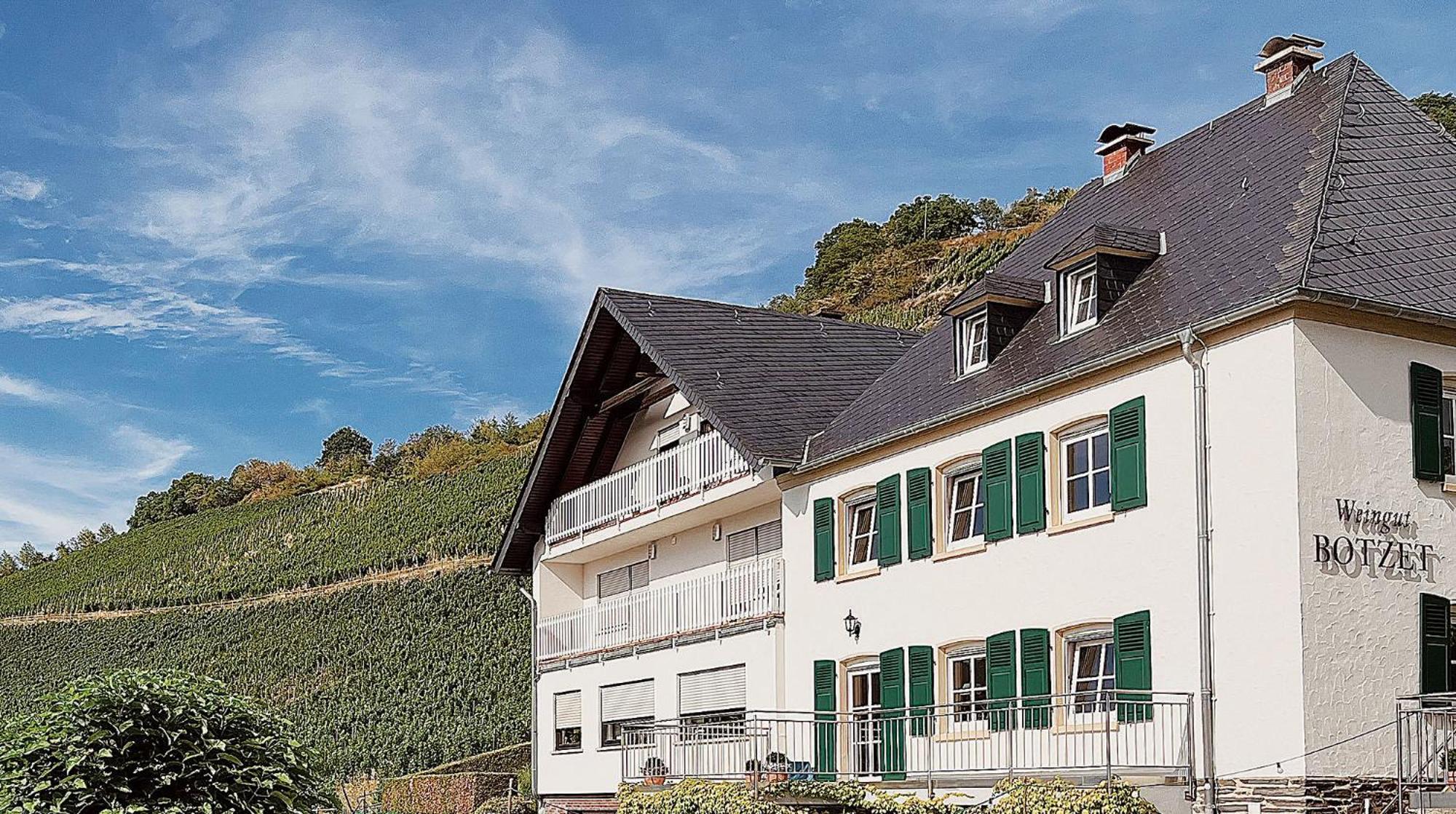 Pension 1595 Im Weingut Botzet Maring-Noviand Εξωτερικό φωτογραφία